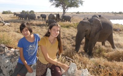 113. Namibie : du 27 mai au 1er juin 2021 : Etosha (2ème partie)