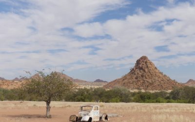 117. Namibie : du 26 juin au 2 juillet 2021 : Cape Cross, Brandberg, EHRA, Twyfelfontein, Forêt pétrifiée